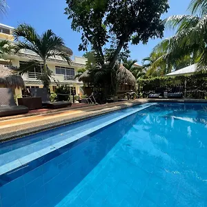 Palms Cove 3* Panglao